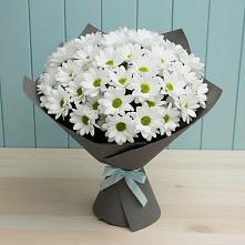 Букет цветов из:  Хризантемы #REPLACE_PRED# Шарыпово