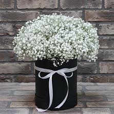 Цветочная композиция из Гипсофила в шляпной коробке в Шарыпово