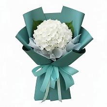 Букет цветов из:  Гортензия #REPLACE_PRED# Шарыпово